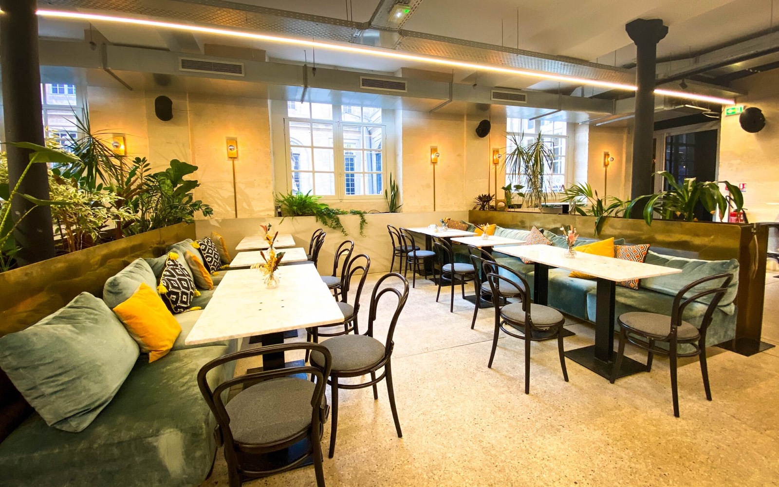 Le Café de Pauline, photo 5