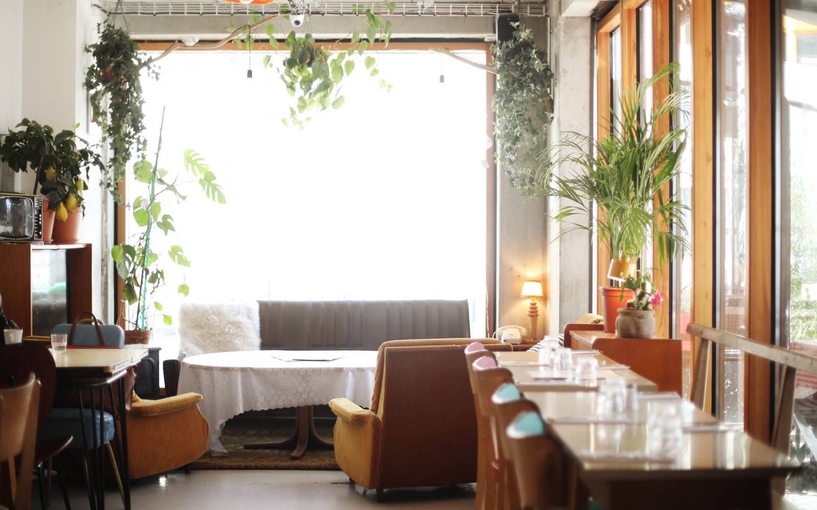 Le Café de Sarah, photo 4